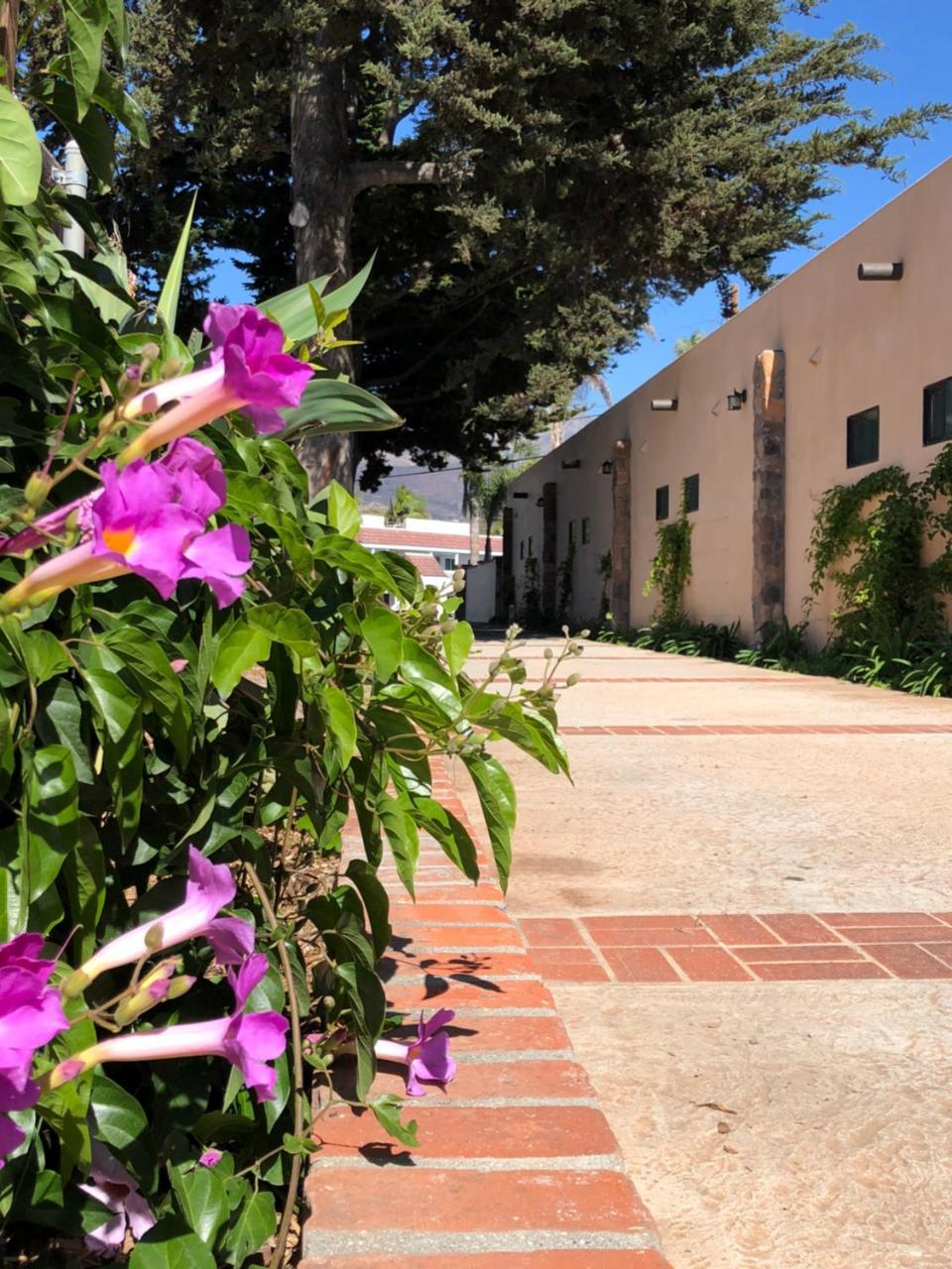 Inn Casa Del Sol 2*
